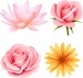 jolies-petites-fleurs-vecteur--4_15-13111